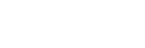 Logo / Nantoo / Portfolio