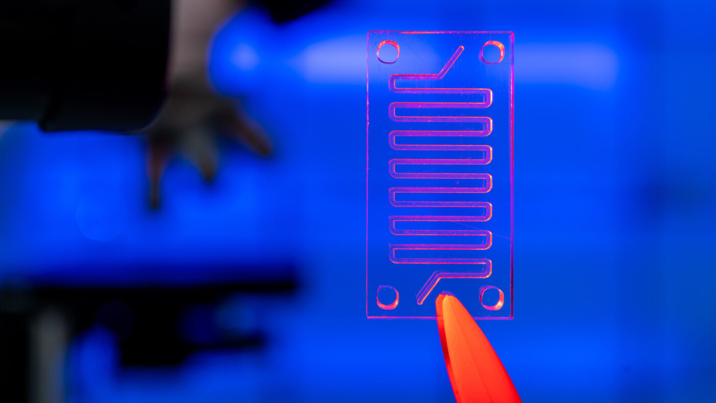 NanoPhoenix | Startup nanotecnologie Life Sciences diagnostica terapeutica